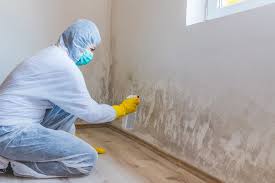 Best Biohazard Mold Removal  in Tyrone, PA