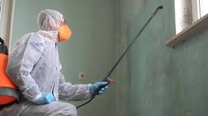 Best Mold Remediation for Rental Properties  in Tyrone, PA