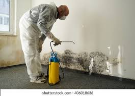 Best Basement Mold Removal  in Tyrone, PA